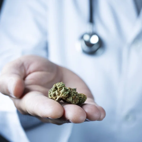 Doctor man with some marijuana buds in his hand — Stock Photo, Image