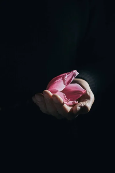 Close Homem Com Uma Bela Tulipa Rosa Mão Contra Fundo — Fotografia de Stock