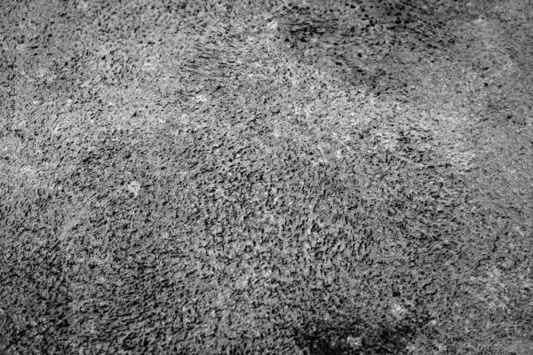 Zbliżenie Rustykalnej Szarej Ściany Gipsowo Kartonowej Wykorzystania Jako Tło — Zdjęcie stockowe