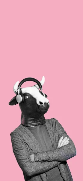 Portré Fiatal Férfi Visel Tehénmaszk Fülhallgató Fekete Fehér Rózsaszín Alapon — Stock Fotó