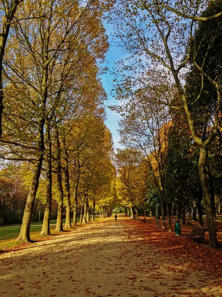 Parques em Brussels, Bélgica — Fotografia de Stock