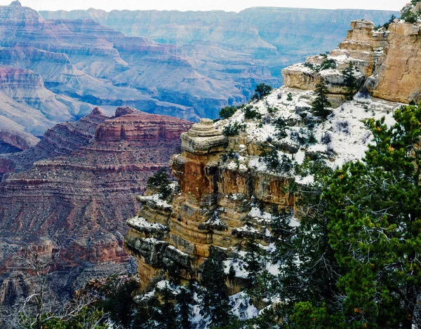 Grand Canyon i Arizona - Stock-foto