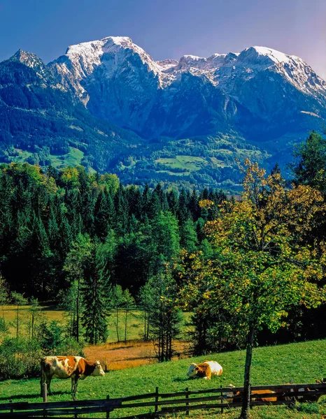 Alpy Bawarskie, Niemcy — Zdjęcie stockowe