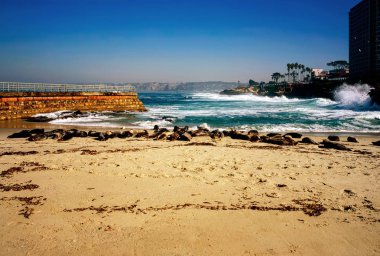 La jolla, Kaliforniya