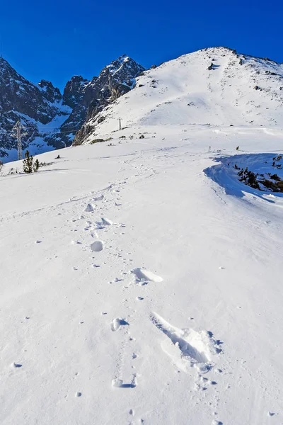Berg bäck på vintern — Stockfoto