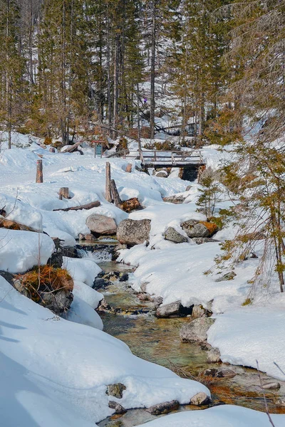 Mountain Creek i vinter — Stockfoto