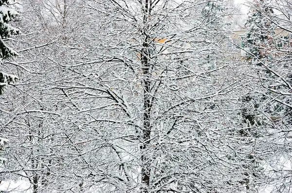Winter in der Stadt — Stockfoto