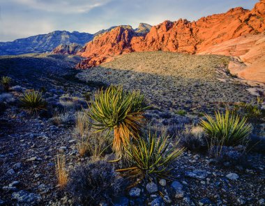 Kızıl Kaya Kanyonu