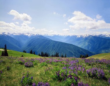 Kasırga Ridge, Washington