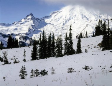 Mt.Rainier, Washington