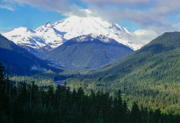 Mt.rainier 华盛顿 — 图库照片