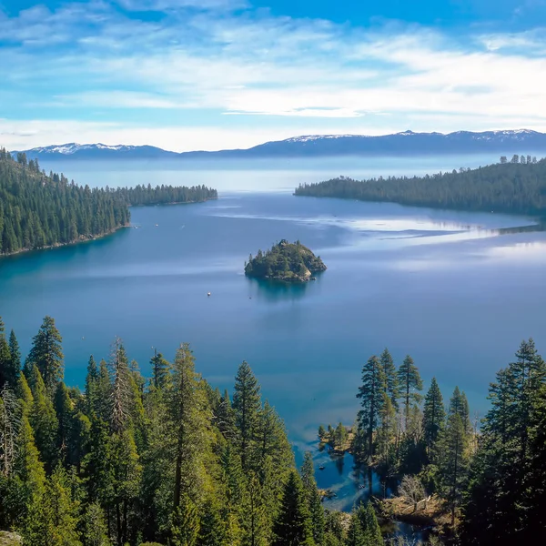 Zümrüt defne, lake tahoe — Stok fotoğraf