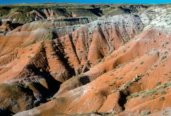 Deserto pintado, Arizona — Fotografia de Stock