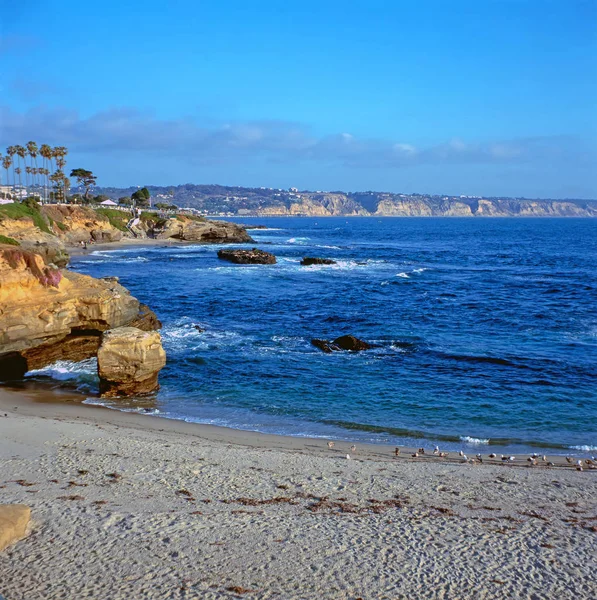 Plaży Jolla Kalifornii — Zdjęcie stockowe