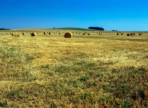 Strobalen Veld Oogst Tsjechië — Stockfoto