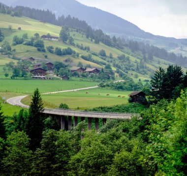 Avusturyalı ülke sahne ile yol ve sığır