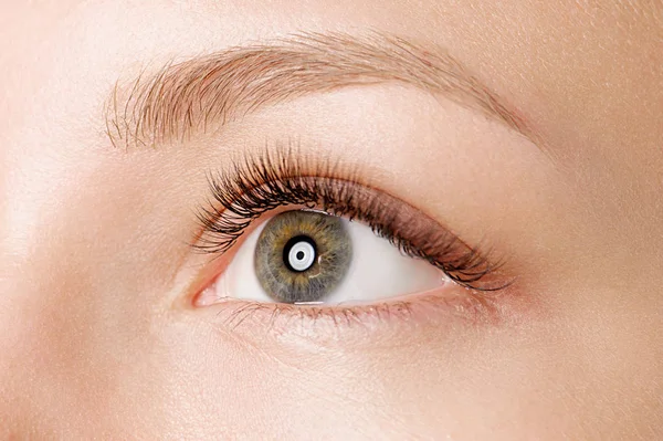 Closeup tiro de olho feminino com maquiagem dia — Fotografia de Stock