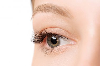 Closeup shot of female eye with day makeup clipart