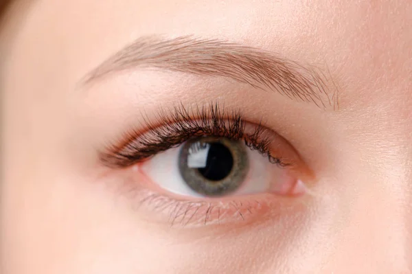 Closeup tiro de olho feminino com maquiagem dia — Fotografia de Stock