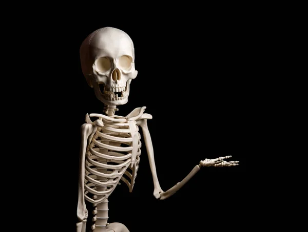Esqueleto mostra algo no fundo preto — Fotografia de Stock