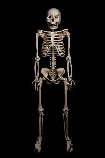Esqueleto de un hombre aislado sobre fondo negro — Foto de Stock