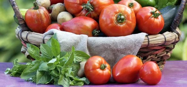 Etwas frisches Gemüse — Stockfoto