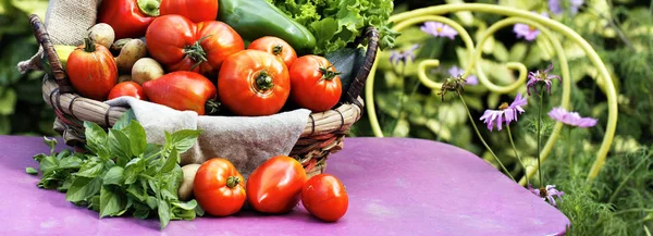 Olika färska grönsaker — Stockfoto