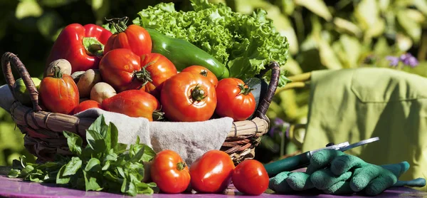 Vissa grönsaker på ett bord — Stockfoto