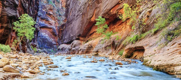 Shallow rapids of the famous Virgin River — Stock Photo, Image