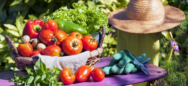Some vegetables in a basket — Stock Photo, Image