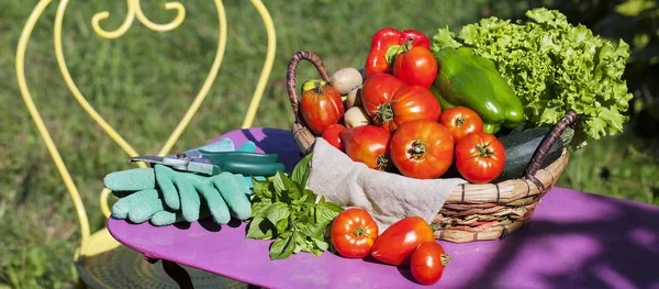 Переглянути садових овочів — стокове фото
