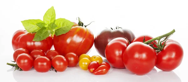 Tomatoes and basil isolated on white. — Stock Photo, Image