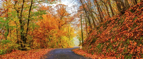 Giornata di sole in autunno — Foto Stock