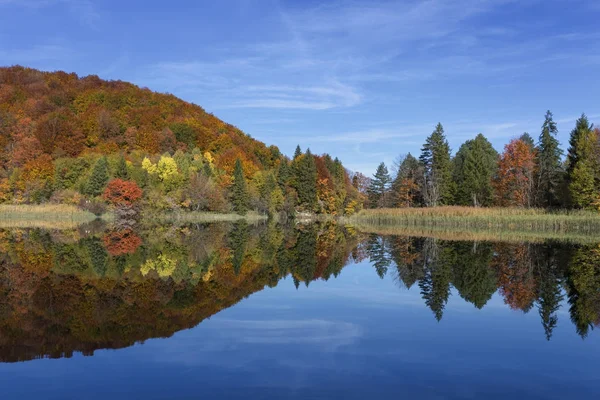 Pohled na krásné jezero v národní Park Plitvická jezera — Stock fotografie