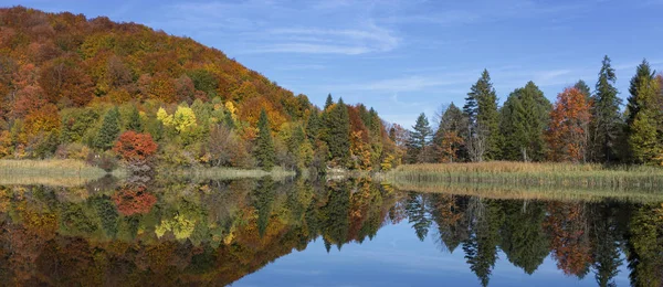 Вид на красивое озеро в Плитвицком национальном парке — стоковое фото