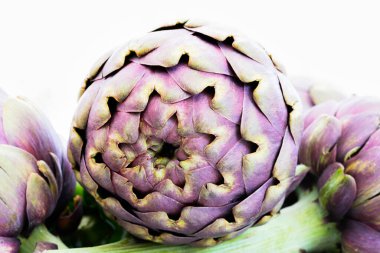 Mutfaktaki diğer enginarların önünde enginar görüntüsü