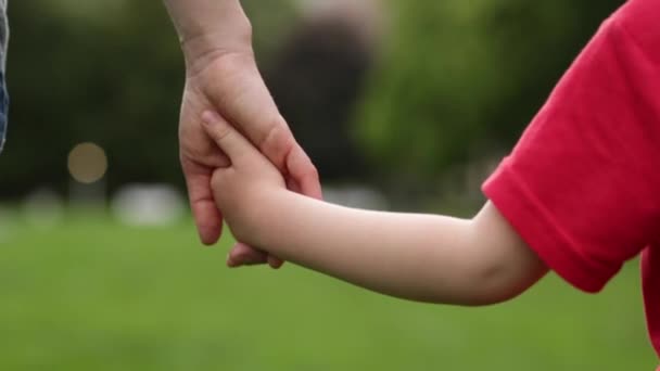 Mom and child holding hands walk in park — Stock Video