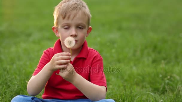 Piccolo ragazzo che soffia dente di leone sull'erba — Video Stock