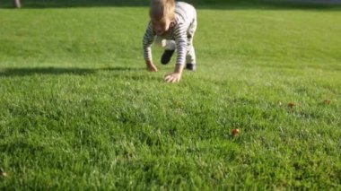 Sevimli güzel mutlu bir çocuk çim bakmak kamerayı çalıştırın