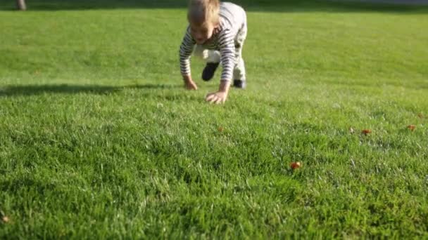 Симпатичный красивый счастливый мальчик бегает по траве, глядя в камеру — стоковое видео