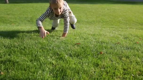 Милый красивый счастливый мальчик играет на траве, пристально смотрит в камеру — стоковое видео