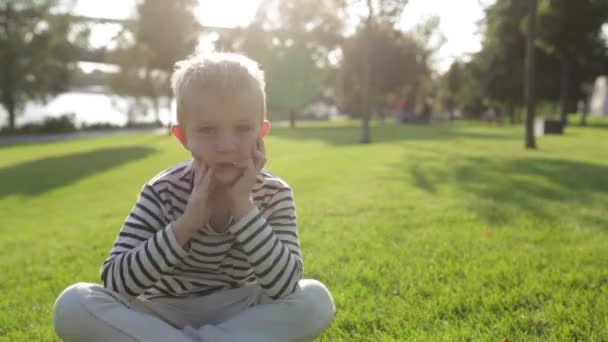 Aranyos szép boldog kisfiú meglepett, ül a fűben — Stock videók