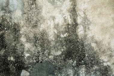 Antik duvar doku eski windows, vintage tarzı, duvar kağıdı grunge kavramı ile