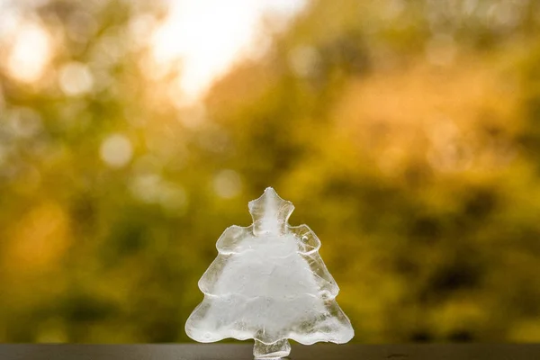 Winter is coming. Christmas tree ice decoration on autumn outside Royalty Free Stock Photos