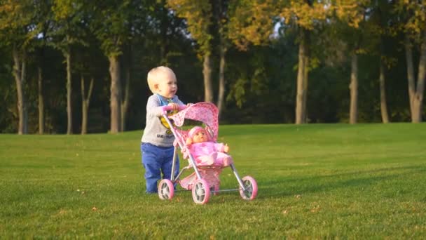 Niño pequeño se para en un parque con un carro de bebé rosa — Vídeo de stock