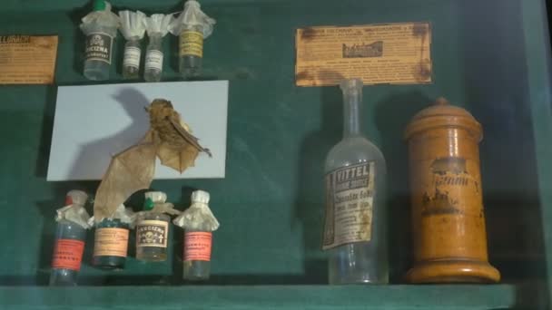Murciélago relleno en la vieja farmacia. Ponte de pie con la medicina antigua — Vídeo de stock