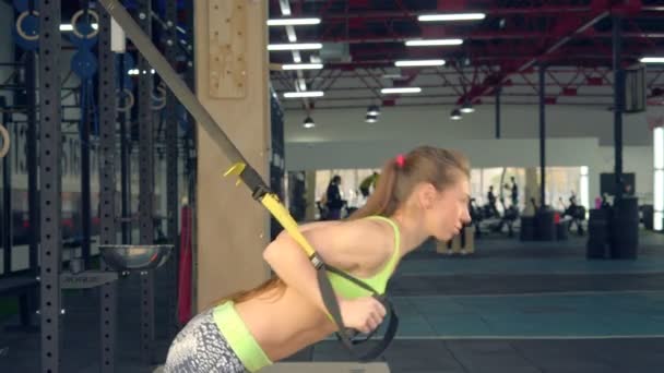 ストラップでぶら下がって運動 Trx。 明るい服で女の子ベルト Trx にジムでタイトなスポーツに取り組んでいます — ストック動画