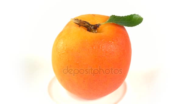 Ripe peach lies on a white background — Stock Video