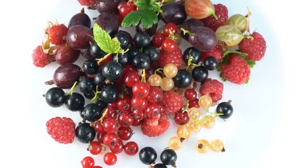 Beeren von Johannisbeeren, Himbeeren und Stachelbeeren — Stockvideo