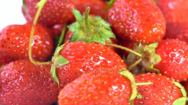 Macro fotografia di fragole — Video Stock